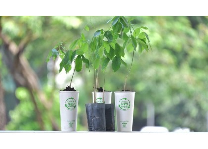 มากกว่าแค่กาแฟ: การใช้งานแก้วกระดาษที่หลากหลาย มากกว่าแค่กาแฟ: การใช้งานแก้วกระดาษที่หลากหลาย