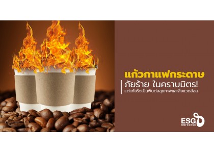 ‘แก้วกาแฟกระดาษ’ อาจไม่เป็นมิตรกับเรา-โลกอย่างที่คิด! ผลวิจัยชี้ อันตรายต่อสุขภาพไม่แพ้แก้วพลาสติก ‘แก้วกาแฟกระดาษ’ อาจไม่เป็นมิตรกับเรา-โลกอย่างที่คิด! ผลวิจัยชี้ อันตรายต่อสุขภาพไม่แพ้แก้วพลาสติก