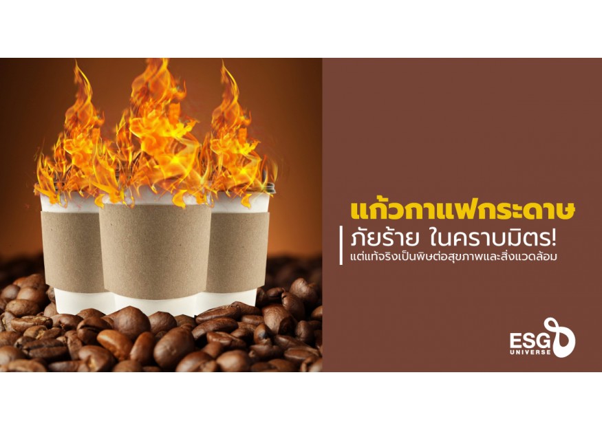 ‘แก้วกาแฟกระดาษ’ อาจไม่เป็นมิตรกับเรา-โลกอย่างที่คิด! ผลวิจัยชี้ อันตรายต่อสุขภาพไม่แพ้แก้วพลาสติก