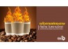 ‘แก้วกาแฟกระดาษ’ อาจไม่เป็นมิตรกับเรา-โลกอย่างที่คิด! ผลวิจัยชี้ อันตรายต่อสุขภาพไม่แพ้แก้วพลาสติก